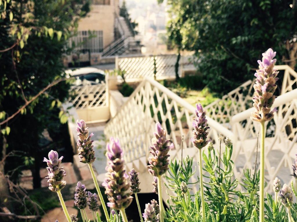 Lavender Boutique Hotel Ραμάλα Εξωτερικό φωτογραφία
